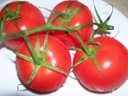 Tomatoes